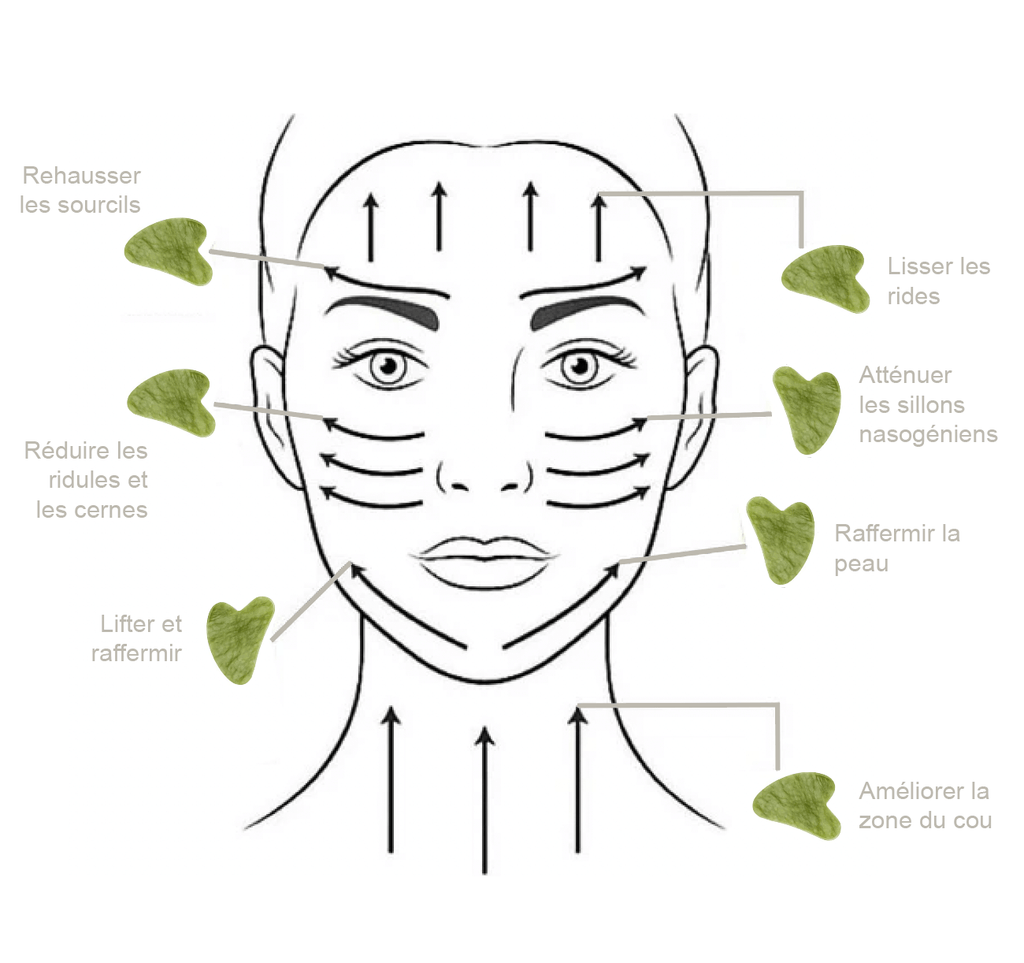 DUO ROLLER & GUA SHA